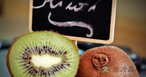 猕猴桃属于哪类水果