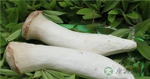 杏鲍菇炒之前用焯么