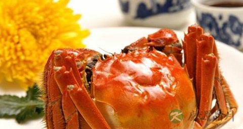 电压力锅怎么蒸螃蟹