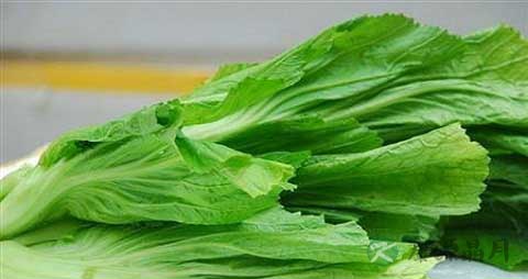 茎用芥菜的吃法_哪些人不能吃茎用芥菜