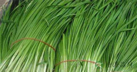 青韭的吃法_哪些人不能吃青韭