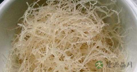 石花菜的营养价值_吃石花菜的好处