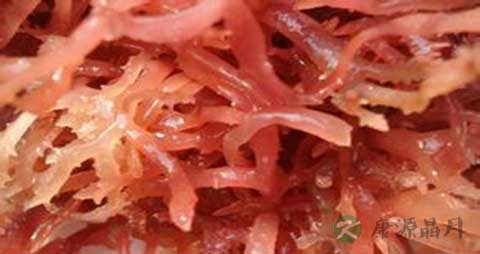 石花菜的营养价值_吃石花菜的好处