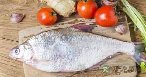 鲂鱼的营养价值_吃鲂鱼的好处 鲂鱼的营养价值_吃鲂鱼的好处