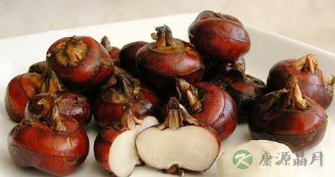 马蹄的营养价值_吃马蹄的好处