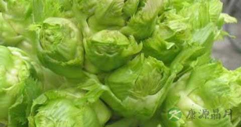 儿菜的营养价值_吃儿菜的好处