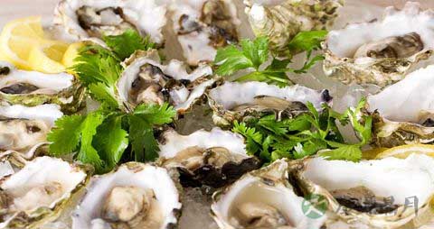 海蛎子的吃法_哪些人不能吃海蛎子