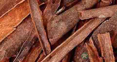 桂皮的吃法_哪些人不能吃桂皮