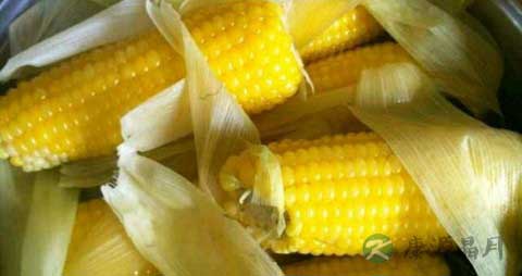 老玉米的吃法_哪些人不能吃老玉米