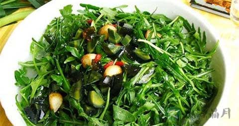 芝麻菜的吃法_哪些人不能吃芝麻菜