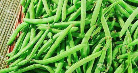 豆角怎么做好吃
