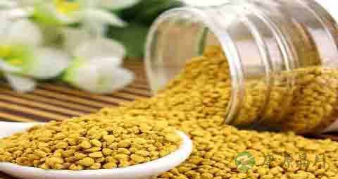 油菜花粉的营养价值_吃油菜花粉的好处 油菜花粉的营养价值_吃油菜花粉的好处