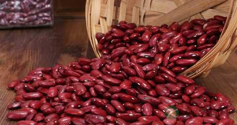 红腰豆的营养价值_吃红腰豆的好处