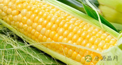 水果玉米的吃法_哪些人不能吃水果玉米