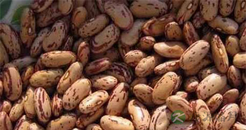 花豆的营养价值_吃花豆的好处