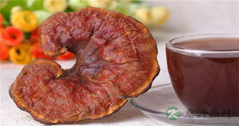 灵芝的吃法_哪些人不能吃灵芝