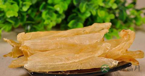 鱼鳔的营养价值_吃鱼鳔的好处