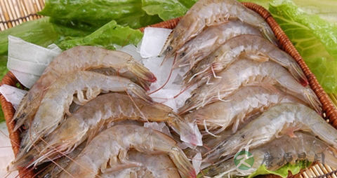 虾怎么去腥味 虾怎么去腥味