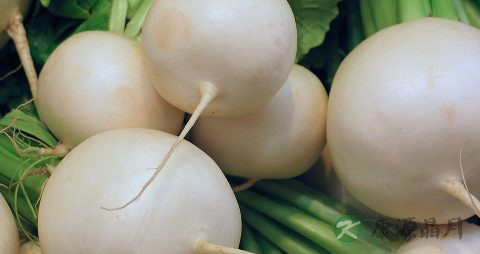 萝卜皮怎么腌制才香脆