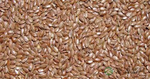 胡麻籽的营养价值_吃胡麻籽的好处