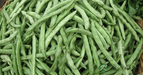 架豆的营养价值_吃架豆的好处