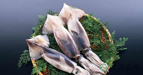 枪乌贼的吃法_哪些人不能吃枪乌贼