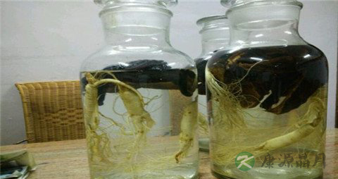 灵芝的吃法_哪些人不能吃灵芝