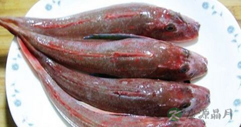 红娘鱼的营养价值_吃红娘鱼的好处