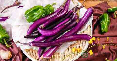 长茄子的吃法_哪些人不能吃长茄子