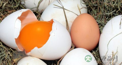 烘烤月饼的温度和时间 烘烤月饼的温度和时间