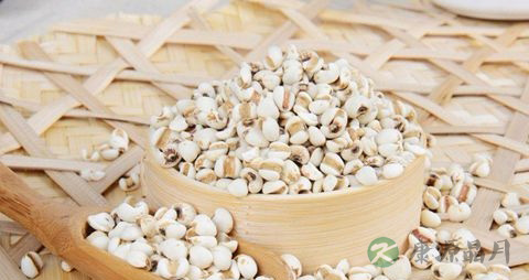 薏米水能长期喝吗