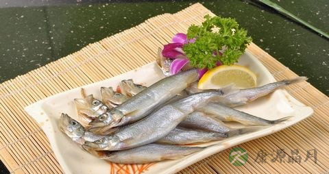 多春鱼的吃法_哪些人不能吃多春鱼