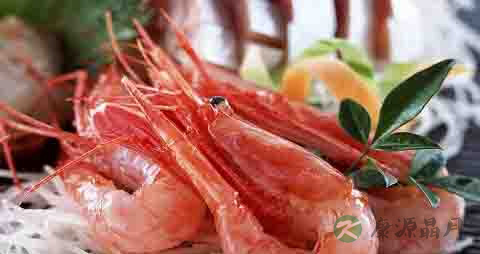 长毛对虾的营养价值_吃长毛对虾的好处