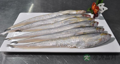 刀鱼的吃法_哪些人不能吃刀鱼