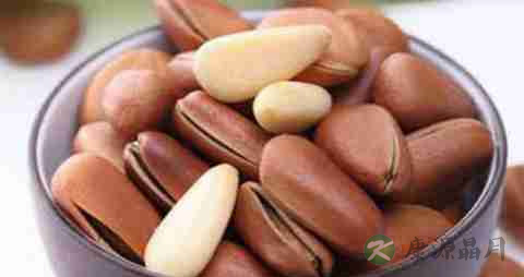 松仁的营养价值_吃松仁的好处