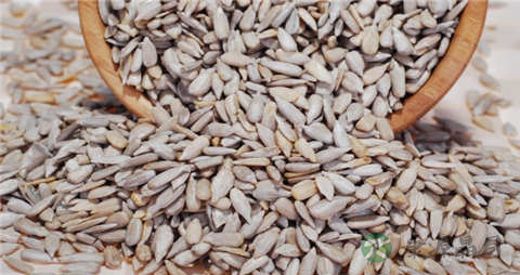 瓜子仁的吃法_哪些人不能吃瓜子仁