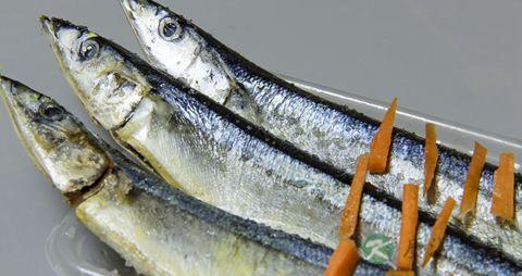 孕妇可以吃秋刀鱼吗