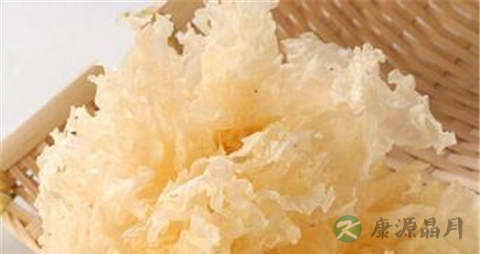 白木耳的吃法_哪些人不能吃白木耳