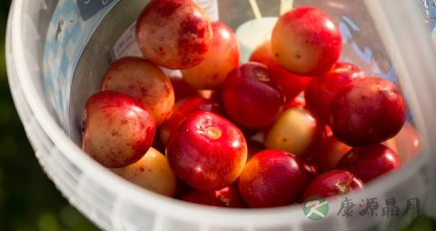 樱桃怎么吃效果最好