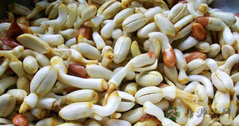 花生芽的吃法_哪些人不能吃花生芽