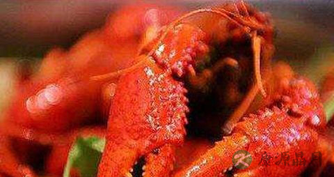 小龙虾的正确吃法 小龙虾的正确吃法