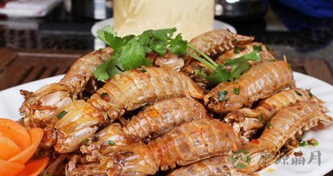 濑尿虾的吃法_哪些人不能吃濑尿虾