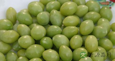 银杏的营养价值_吃银杏的好处