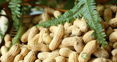 花生油的营养价值_吃花生油的好处