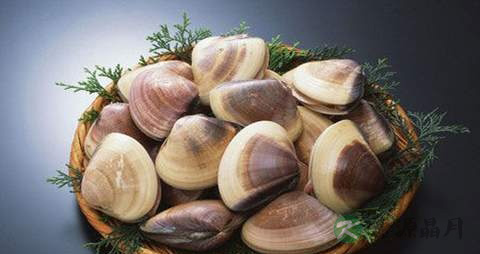 蛤蜊的营养价值_吃蛤蜊的好处