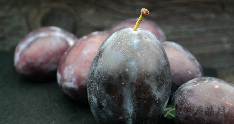 黑布林是酸性还是碱性