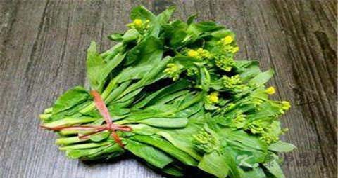 油菜苔的吃法_哪些人不能吃油菜苔 油菜苔的吃法_哪些人不能吃油菜苔