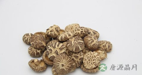 蘑菇是什么季节的 蘑菇是什么季节的