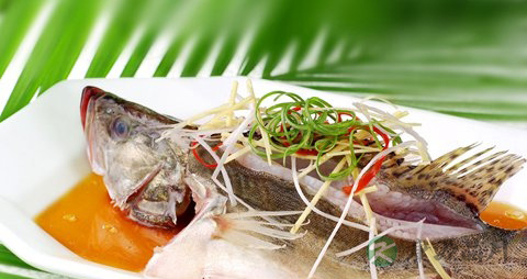 桂鱼的营养价值_吃桂鱼的好处