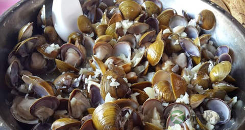 蚬子的营养价值_吃蚬子的好处